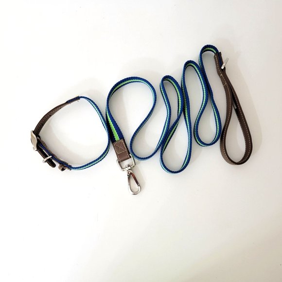 Good2Go Blue Striped Dog Leash and Collar Set - Picture 6 of 6
